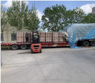 Shandong BEST sends 10 tons of DTBHQ to Guangdong